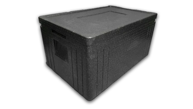 eventverleih-schleswig-holstein-catering-thermobox-f-r-eisw-rfel-mieten image 1